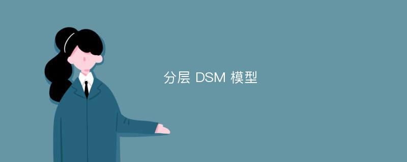 分层 DSM 模型