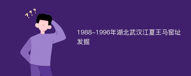 1988-1996年湖北武汉江夏王马窑址发掘